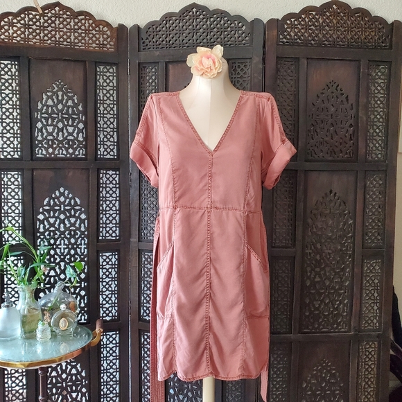 Pilcro and the Letterpress pink Lyocell dress - Picture 9 of 16